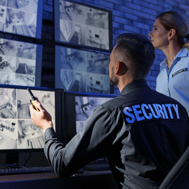 Omni Security Services