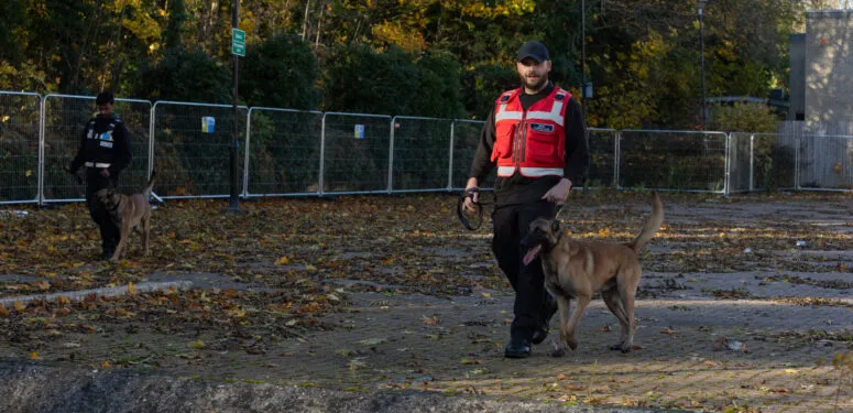 a guard dog handler training the dog on a lead