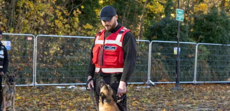 k9 dog sitting down looking at dog handler